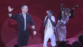 سیرک - نمایش دیدنی دو شامپانزه