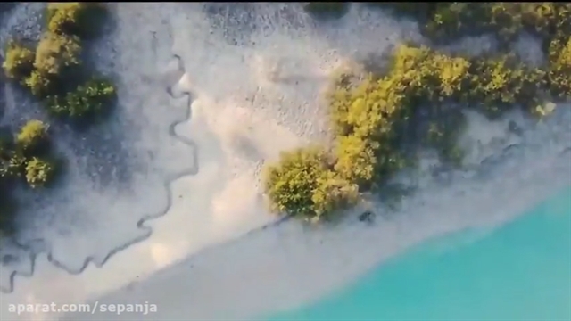 مسافرت و گردشگری با سپنجا