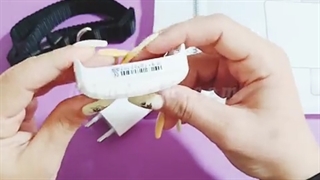 عالی ترین ردیاب برای محافظت از حیوانات خانگی