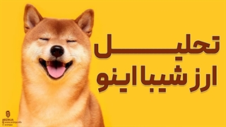 تحلیل امروز ارز شیبا اینو shiba inu | سیزدهم دی ماه 1401