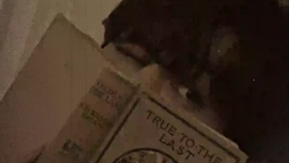 با باد و باران میرقصم...