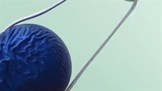 پرداخت درب منزل کفش اسپرت