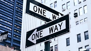 بولگاری رز گلدیا بلوسوم دیلایت