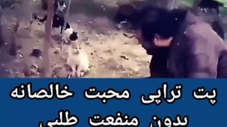 ارمیس روانشناسی