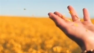 ترانه شاد آذری برای تازه عروس ها