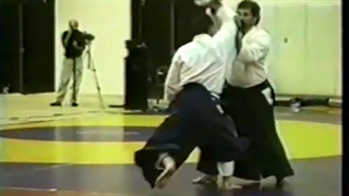 [Aikido] کمپ تابستانی آیکیدو بیرانکای 1994، قسمت دوم