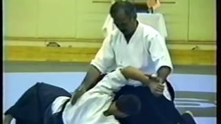 [Aikido] کمپ تابستانی آیکیدو بیرانکای 1994، قسمت چهارم