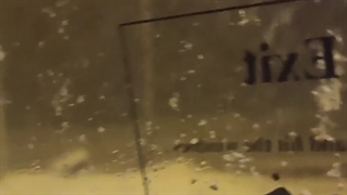 گرفتاری کاروان خلیج‌فارس در برف و کولاک