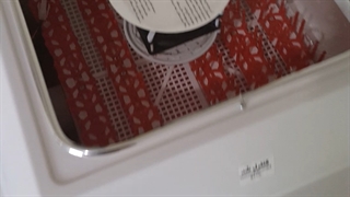 ماشین و سیستم جوجه کش تمام پرنده ها09190951834