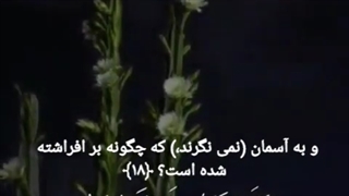 همونطور که الله گفته کسی حق نداره یه نفر رو مجبور کنه یه دین یا هر چیزی رو قبول کنه~