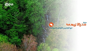 کلیپ | «حیات‌وحش را دریاب»