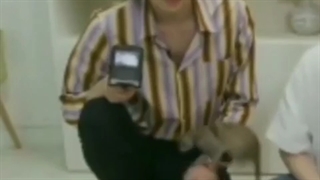 جیغ های بنفش سهون