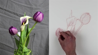 12.نمایش نقاشی گیاه شناسی پارت 2