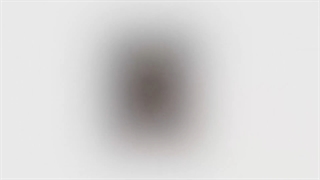 ورق زدن آلبوم جنرال