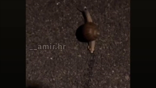 در مسیر کج بود XD