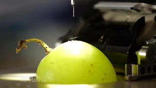 ترکیب انسان با هوش مصنوعی بدست ایلان ماسک