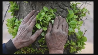 ویدئو) برنامه «چین زیبا»، تلاشی برای رسیدن به رشد اقتصادی در پس زمینه‌ای سبز
