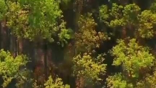 فیلم انگیزشی هیچ بخودتون بدصحبت نکنید