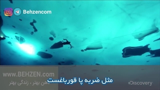 رکورد شنا زیر یخ استیگ سورینسن