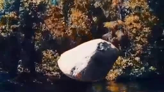 کانال تلگرام راه اندازی شد لینکش تو توضیحات هست...برای کسایی که قسمت 8 سلبریتی رو خواستن