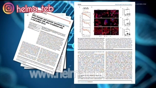آیا به‌طور مداوم برای مانیکور ناخن‌ها به سالن‌های زیبایی مراجعه می‌کنید؟