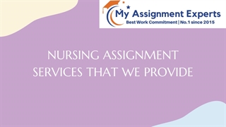 NURSING ASSIGNMENT SERVICES THAT WE PROVIDE