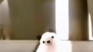 بیاین حرف بزنیم:) هرکی لایک کنه چیزی نگه حلالش نمیکنم