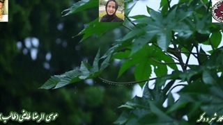 غزل عارفانه ی تن تن سبوح از غزلیات موسی الرضا(طالب) |جاودانه آوای حورا سادات علویان