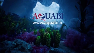 واتر پمپ کف کش سوبو معرفی تمام مدل ها