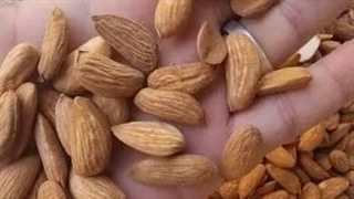 مغزبادام لوکس ایرانی