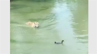 وقتی یک نقطه خوب برای ورود پیدا کردم و برق میره | او ام پی فینکس