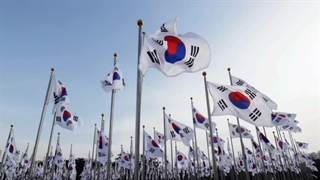 اخبار: روز ملی آزادی کره