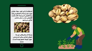تاثیر کود سولفات منگنز بر گیاهان