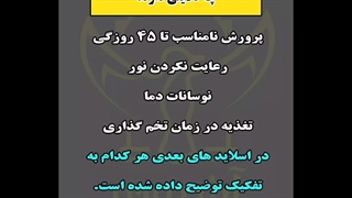 چهار دلیل کاهش تخم بلدرچین