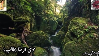 کلیپ دکلمه عاشقانه و تماشایی دل گستاخ از اشعار طالب اردبیلی با صدای دلنشین شاعر