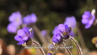 اجتناب از گناه(آیت الله العظمی مظاهری)