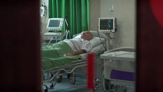 سریال دل لینک دانلود در توضیح هات