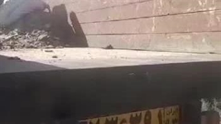 کود مرغی سالنی