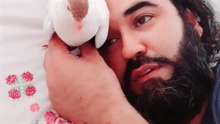 حکمت های خداوند ج - راز ها و اسرار ها  - جوجه کبوتر #کفتر pigeons #2023 Ahmad Mahmood Imperator