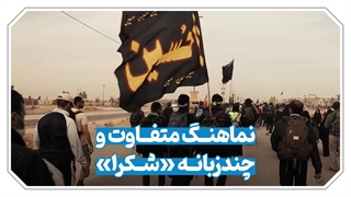 اینجا، میهمان و میزبان، قلبشان برای یک هدف می‌تپد / به سوی حسین(ع) ...