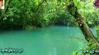 بر سمند سخن عشق با کمند غزل رویایی زنجیر گیسو غزل طالب اردبیلی با صدای دلنشین شاعر