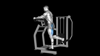 کیک بک باسن ایستاده