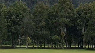 بهم اعتماد کن