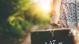 آهنگ جدید حامد شیخ یادم نمیره - میفاموزیک