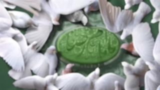 استوری / ریلز | ولی نعمت (شهادت امام رضا)